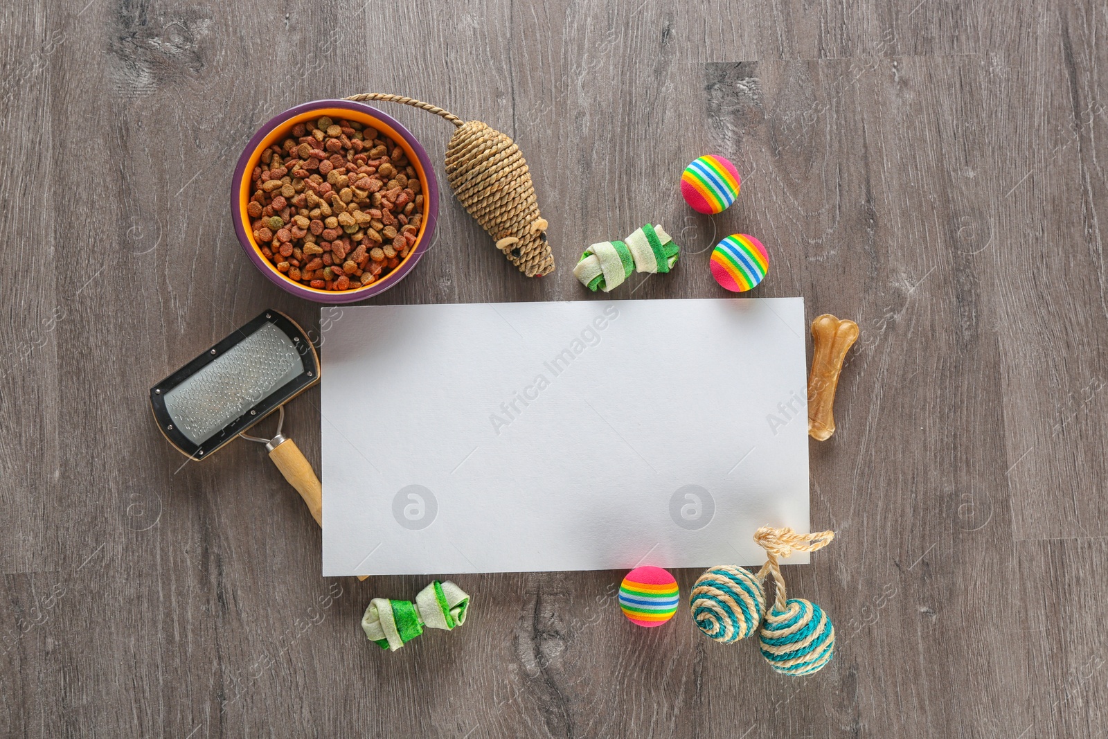 Photo of Flat lay composition with cat accessories and food on wooden background