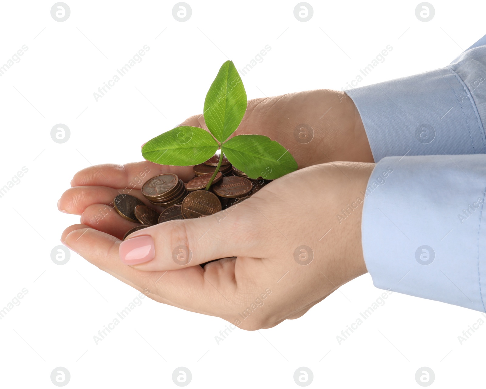 Photo of Woman holding coins with green sprout on white background, closeup