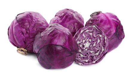 Whole and cut red cabbages on white background