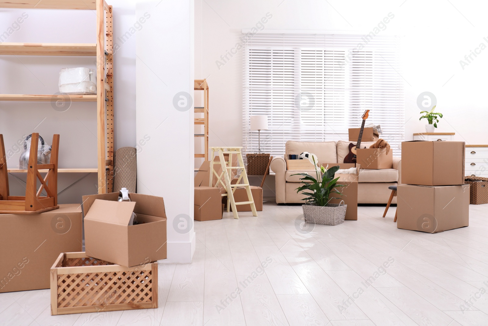 Photo of Cardboard boxes and household stuff in living room. Moving day