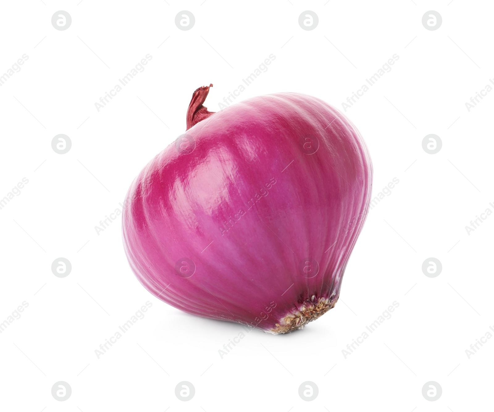 Photo of Fresh red onion bulb isolated on white