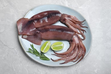 Photo of Fresh raw squids with lime and rosemary on light marble table, top view