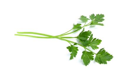 Leaves of fresh tasty parsley on white background