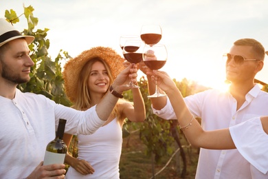 Photo of Friends clinking glasses of red wine in vineyard on sunny day