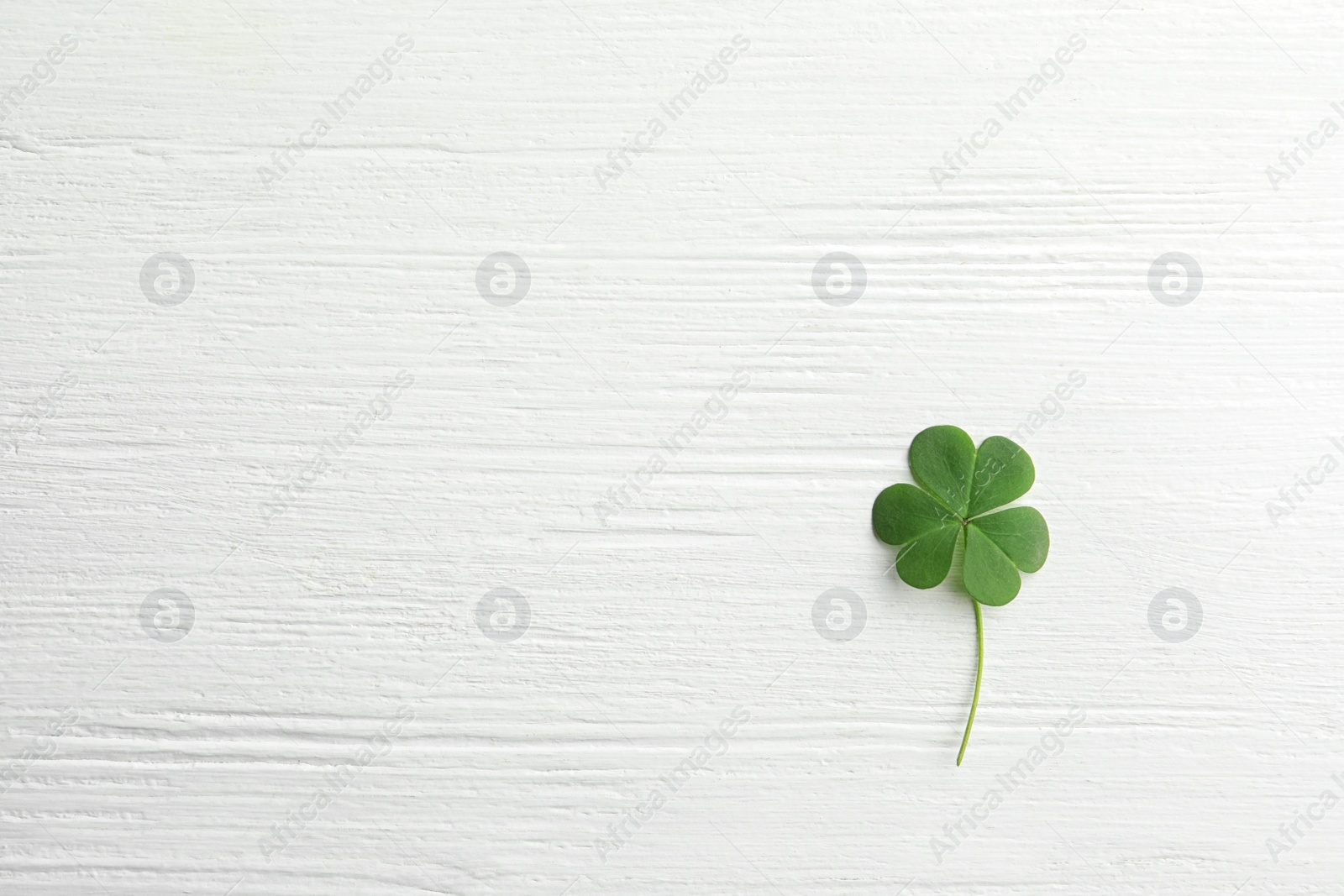 Photo of Clover leaf on white wooden table, top view with space for text. St. Patrick's Day symbol