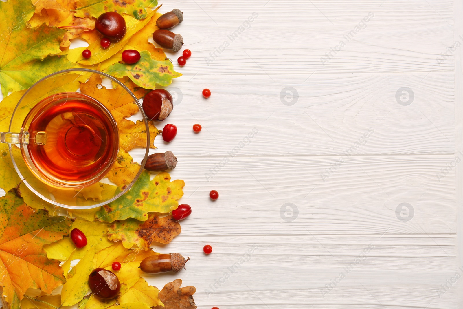 Photo of Different autumn leaves, acorns, chestnuts, red berries and cup of tasty tea on white wooden table, flat lay. Space for text