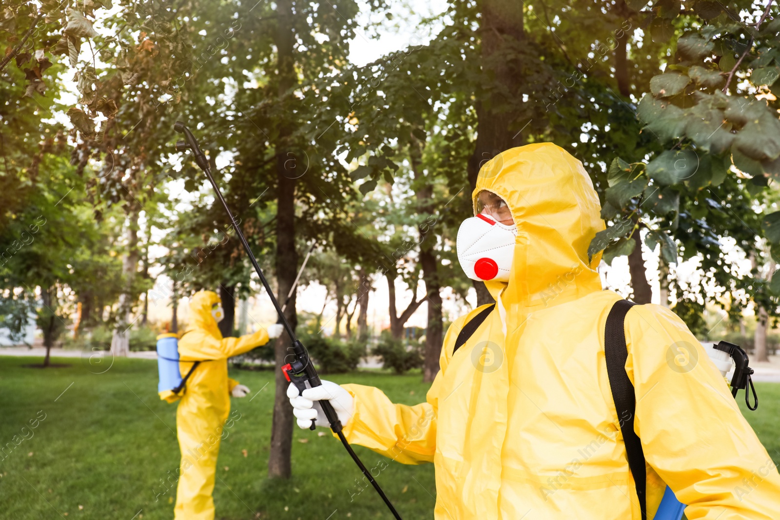 Photo of Workers spraying pesticide onto tree outdoors. Pest control
