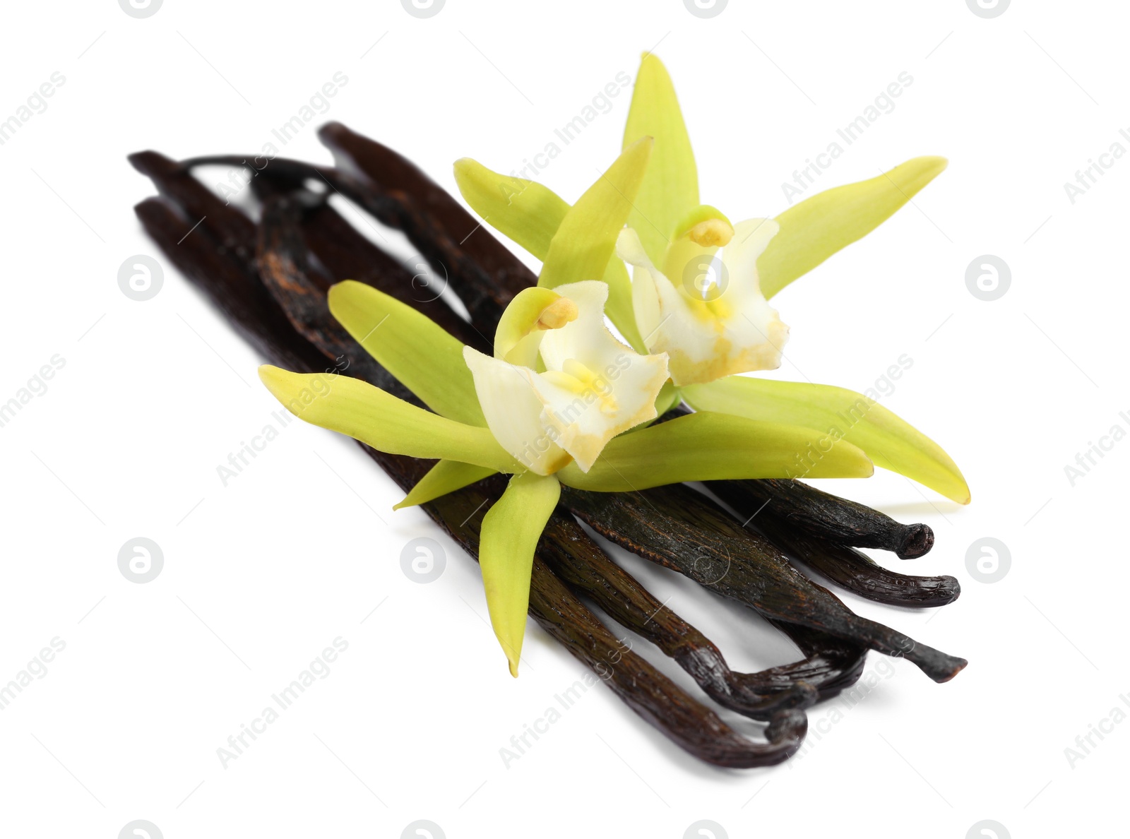 Photo of Vanilla pods and beautiful flowers isolated on white