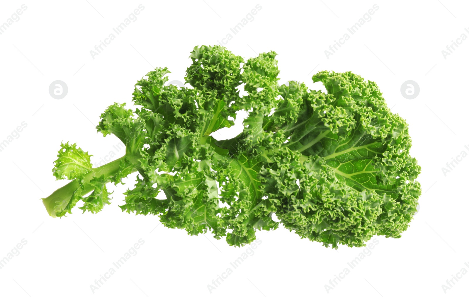 Photo of Fresh green kale leaf isolated on white