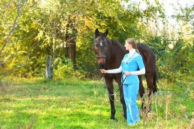 Photo of Veterinarian in uniform with beautiful brown horse outdoors. Space for text