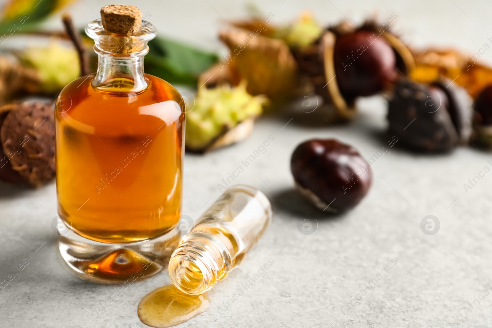 Photo of Horse chestnuts and bottles of tincture on grey table. Space for text