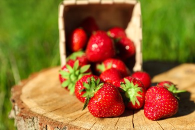 Photo of Basket with scattered ripe strawberries on tree stump outdoors, closeup