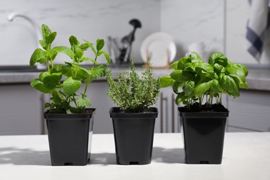 Photo of Pots with basil, thyme and mint on white table in kitchen
