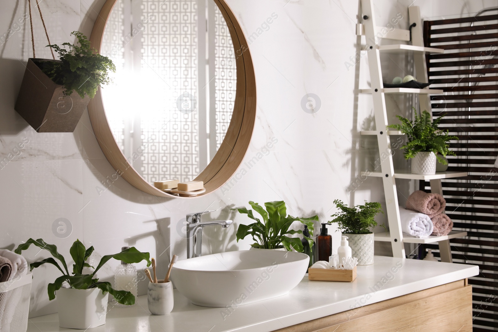 Photo of Beautiful green ferns and toiletries in bathroom
