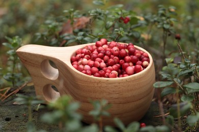 Many tasty ripe lingonberries in wooden cup outdoors, closeup