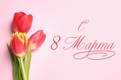 Image of International Women's Day greeting card design. Beautiful spring tulips and text Happy 8 March written in Russian on pink background, flat lay
