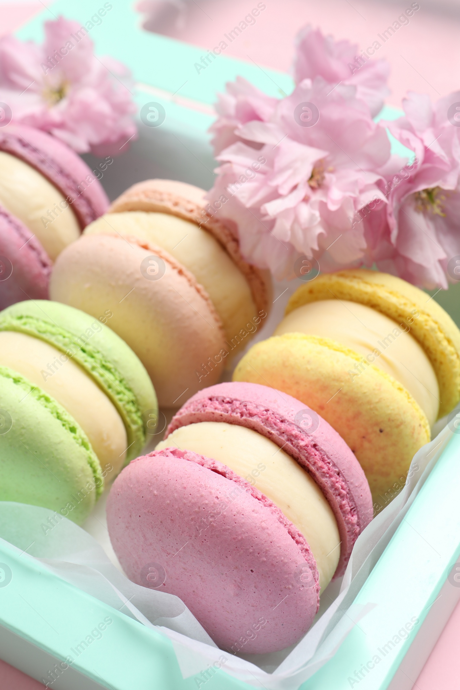 Photo of Many delicious colorful macarons in box and flowers on pink background, closeup