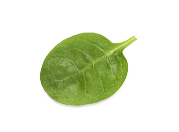 Photo of Fresh leaf of spinach isolated on white, top view