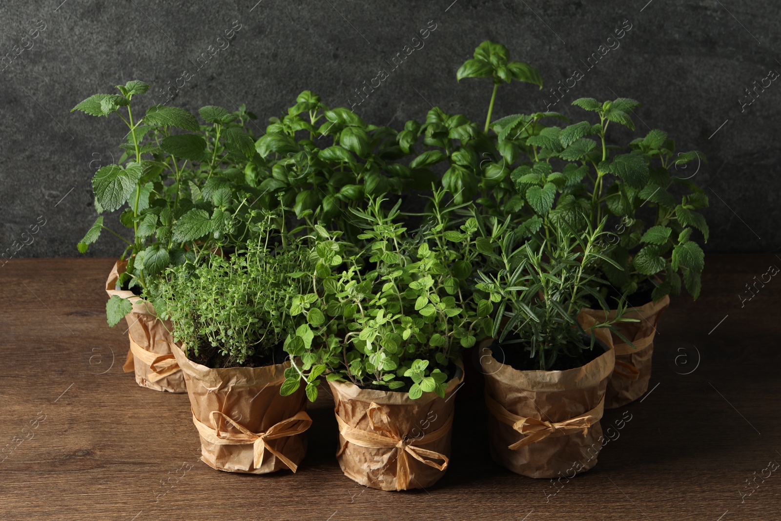 Photo of Different aromatic potted herbs on wooden table