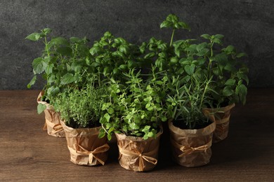 Different aromatic potted herbs on wooden table