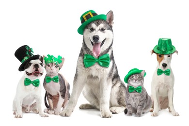 Image of St. Patrick's day celebration. Cute dogs and cats with festive accessories on white background