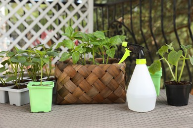 Photo of Vegetable seedlings growing in plastic containers with soil and spray bottle on light gray table