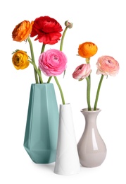 Photo of Beautiful ranunculus flowers in vases isolated on white