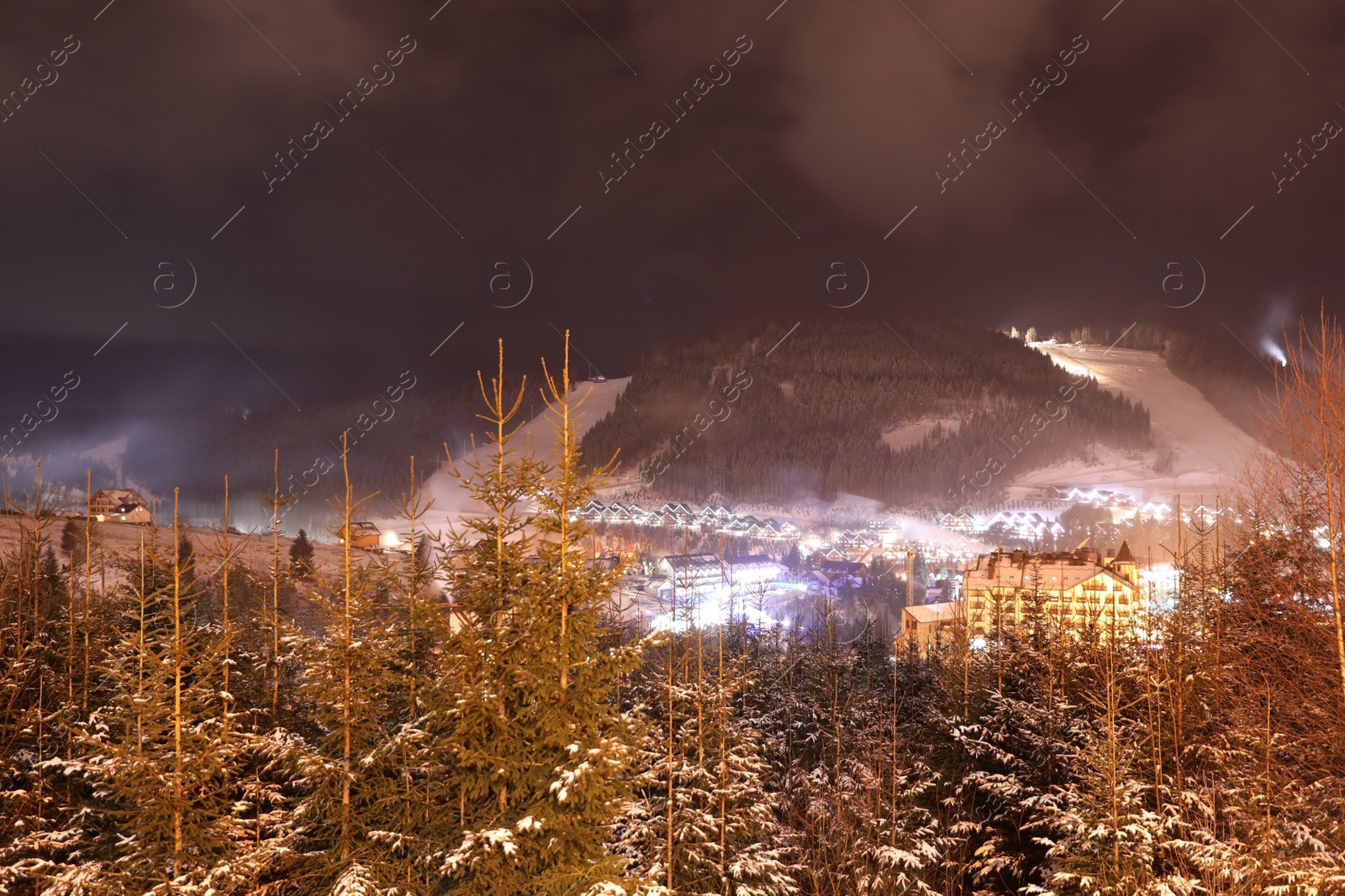 Photo of Night landscape with mountain village near forest in winter