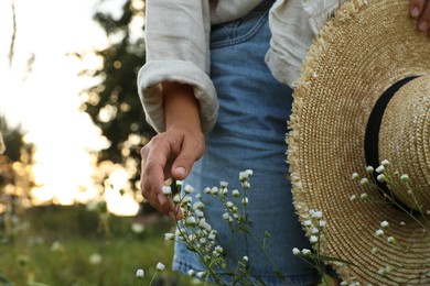 Woman walking through meadow and touching beautiful white flowers outdoors, closeup