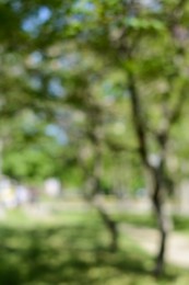 Park with trees on sunny day, blurred view. Bokeh effect