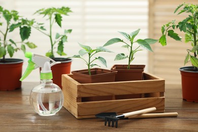 Photo of Seedlings growing in plastic containers with soil, gardening tools and spray bottle on wooden table