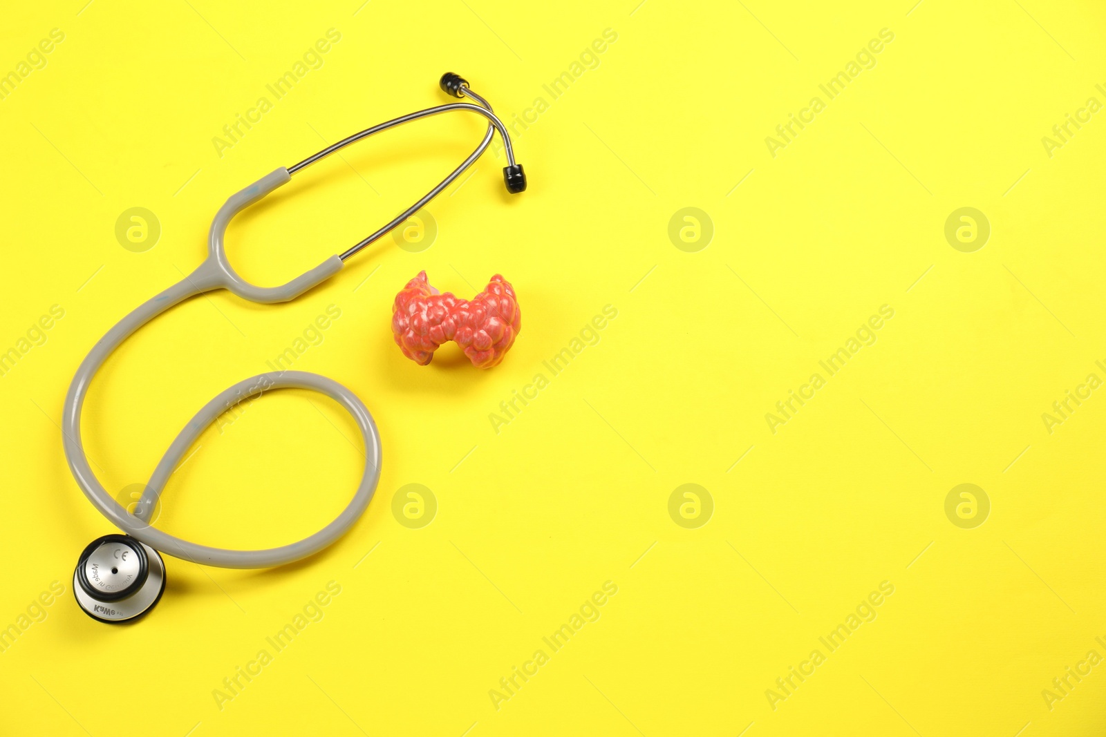 Photo of Endocrinology. Stethoscope and model of thyroid gland on yellow background, top view. Space for text