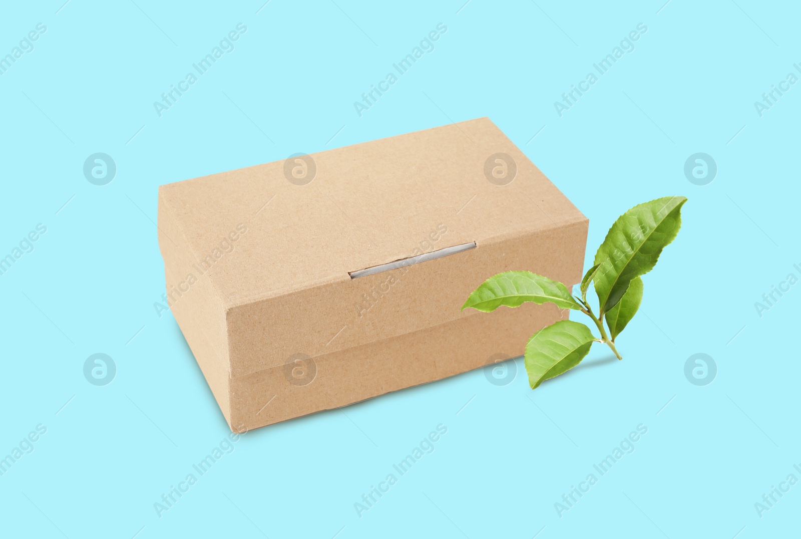 Image of Cardboard box and green leaves on cyan background. Eco friendly lifestyle