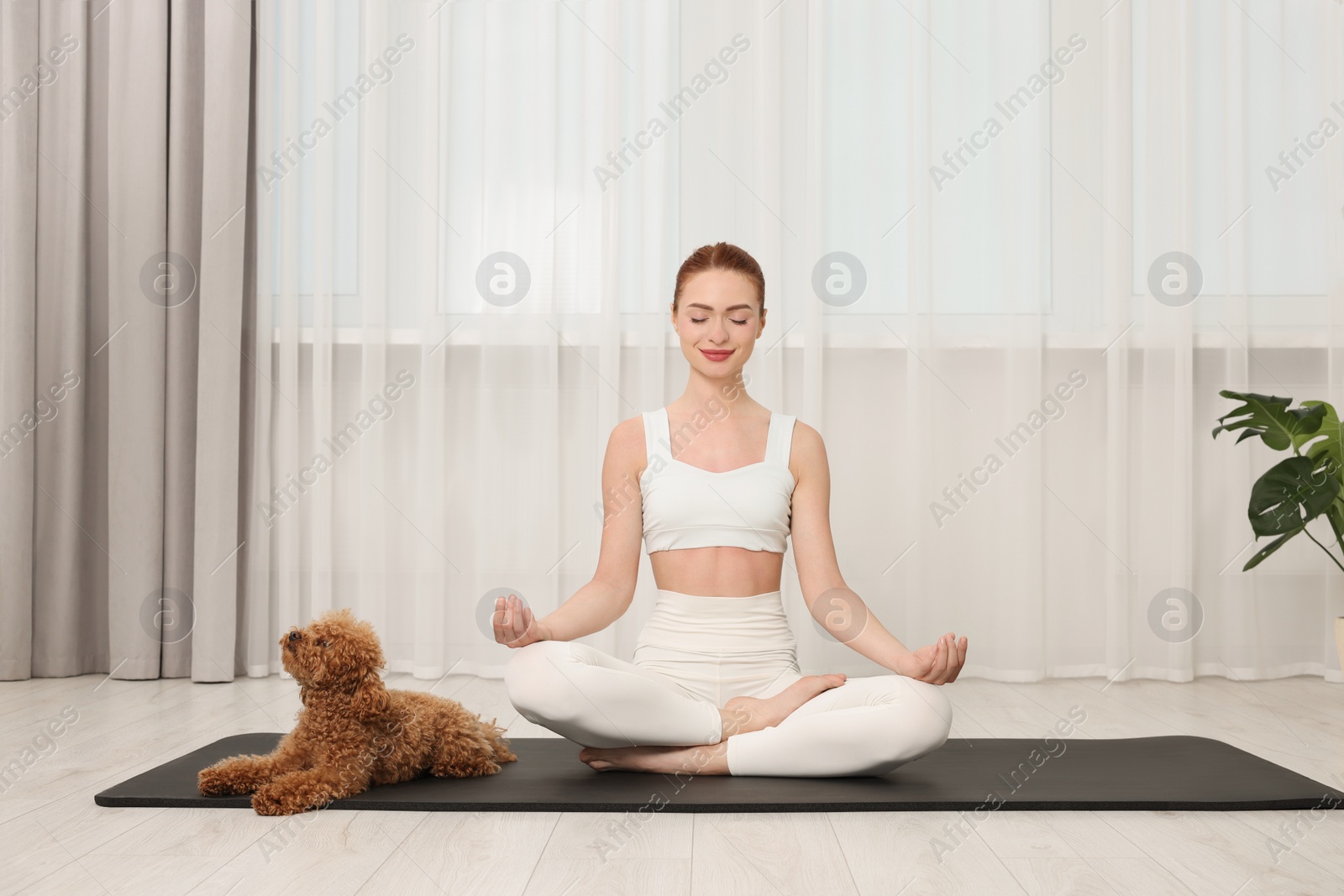 Photo of Young woman practicing yoga on mat with her cute dog indoors