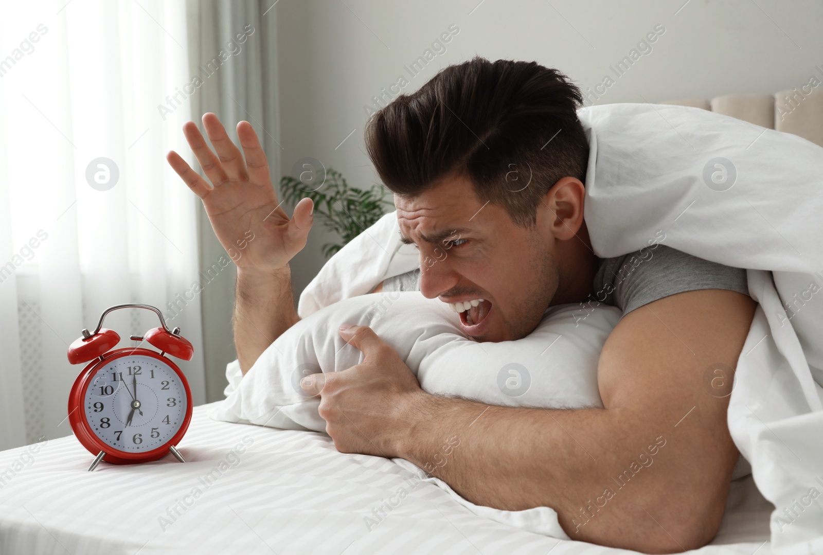 Photo of Emotional man with alarm clock in bed. Being late because of oversleeping