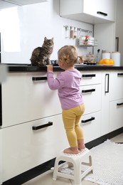 Photo of Cute little child with adorable pet on countertop in kitchen