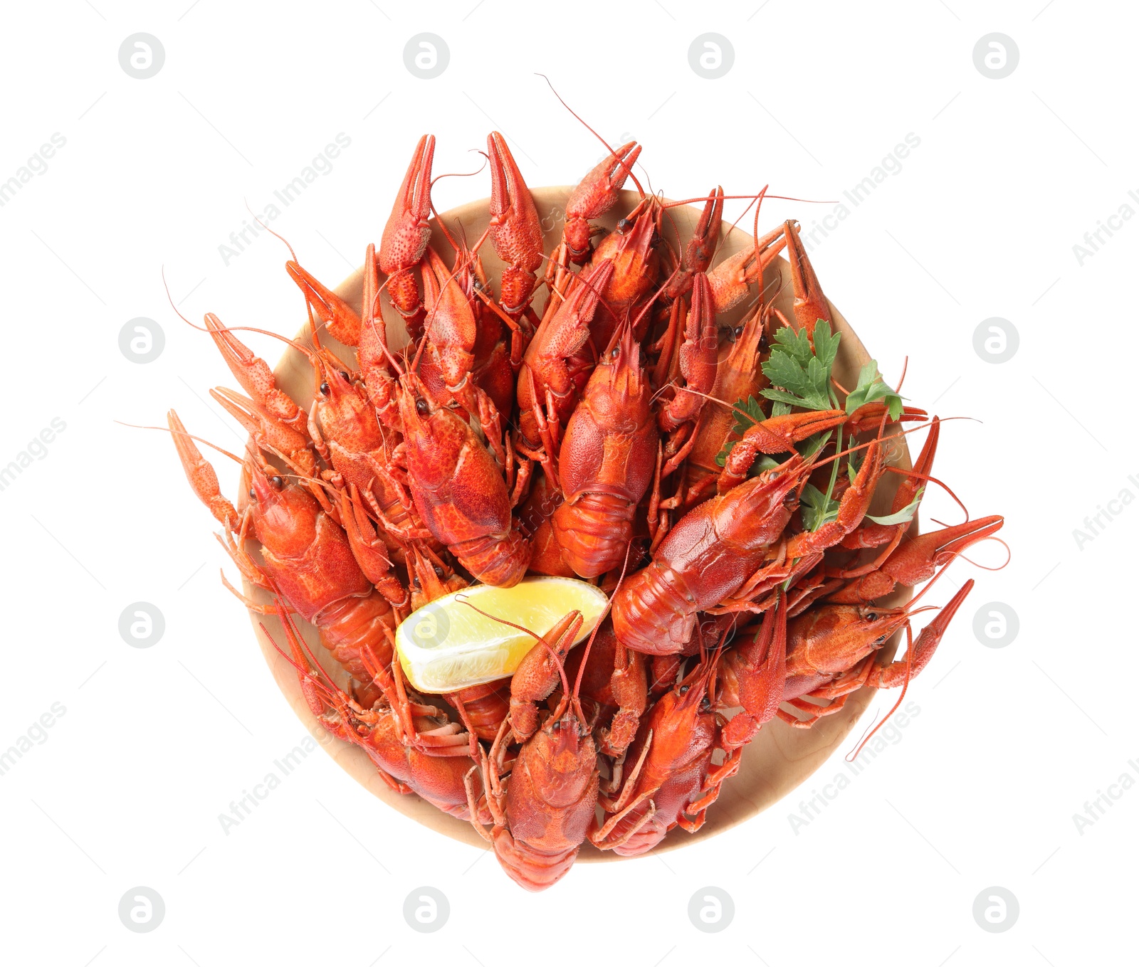 Photo of Plate with delicious boiled crayfishes isolated on white, top view