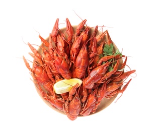 Plate with delicious boiled crayfishes isolated on white, top view