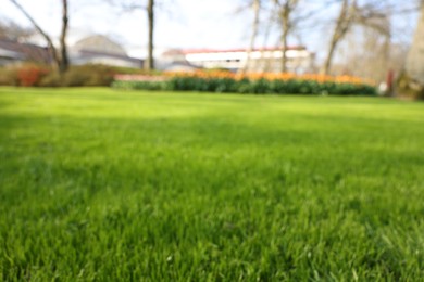 Photo of Blurred view of beautiful park on sunny day