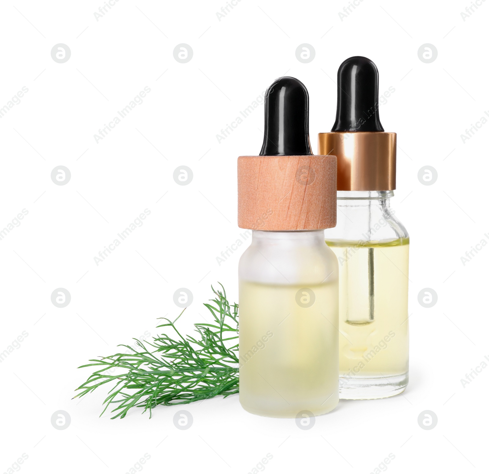 Photo of Bottles of essential oil and fresh dill isolated on white