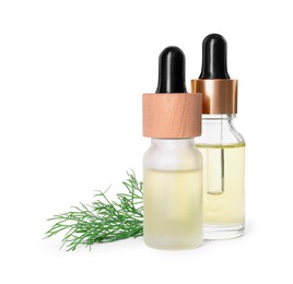 Photo of Bottles of essential oil and fresh dill isolated on white