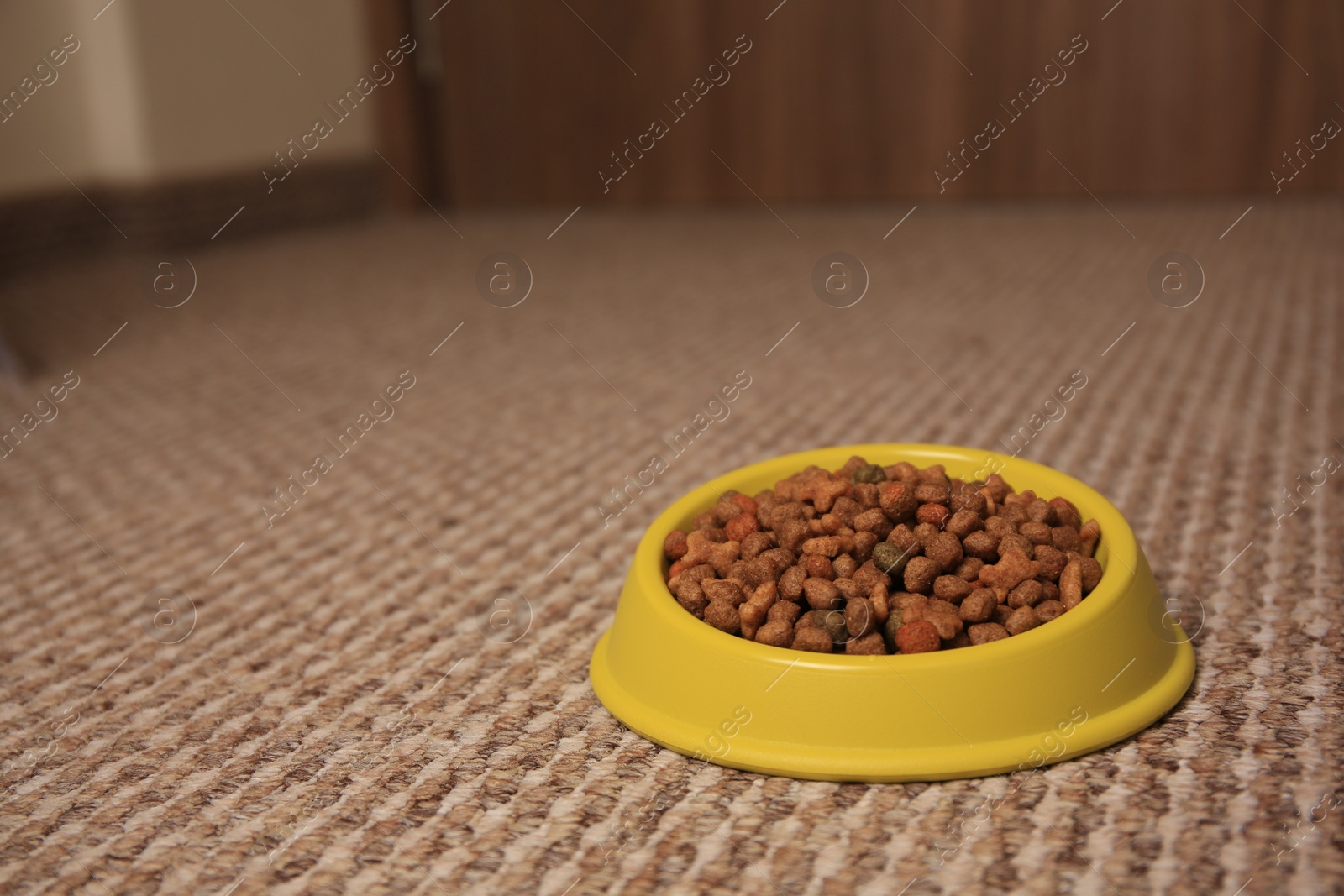 Photo of Dry pet food in feeding bowl on soft carpet indoors. Space for text