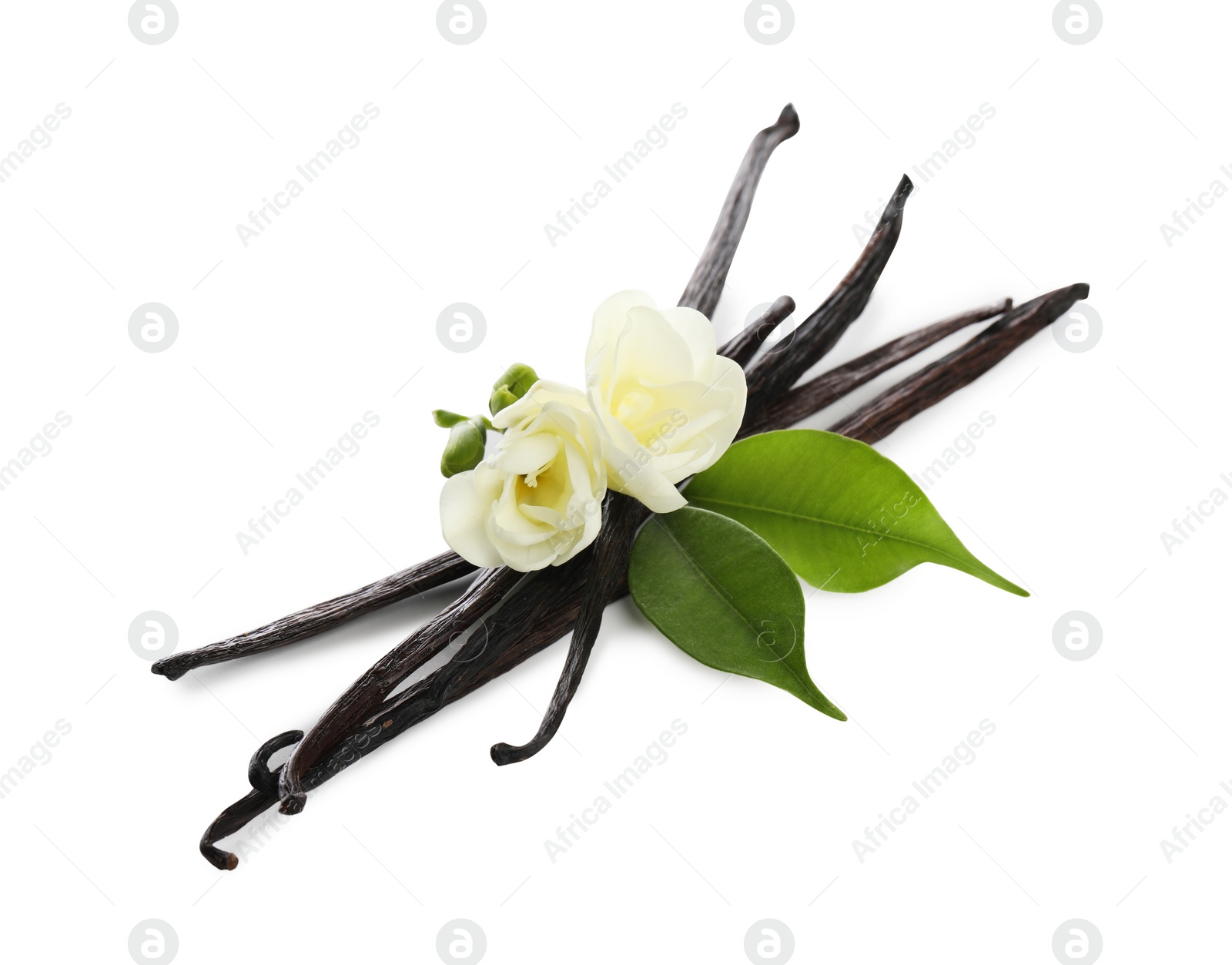 Photo of Vanilla pods, green leaves and flowers isolated on white