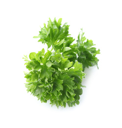 Fresh green curly parsley on white background