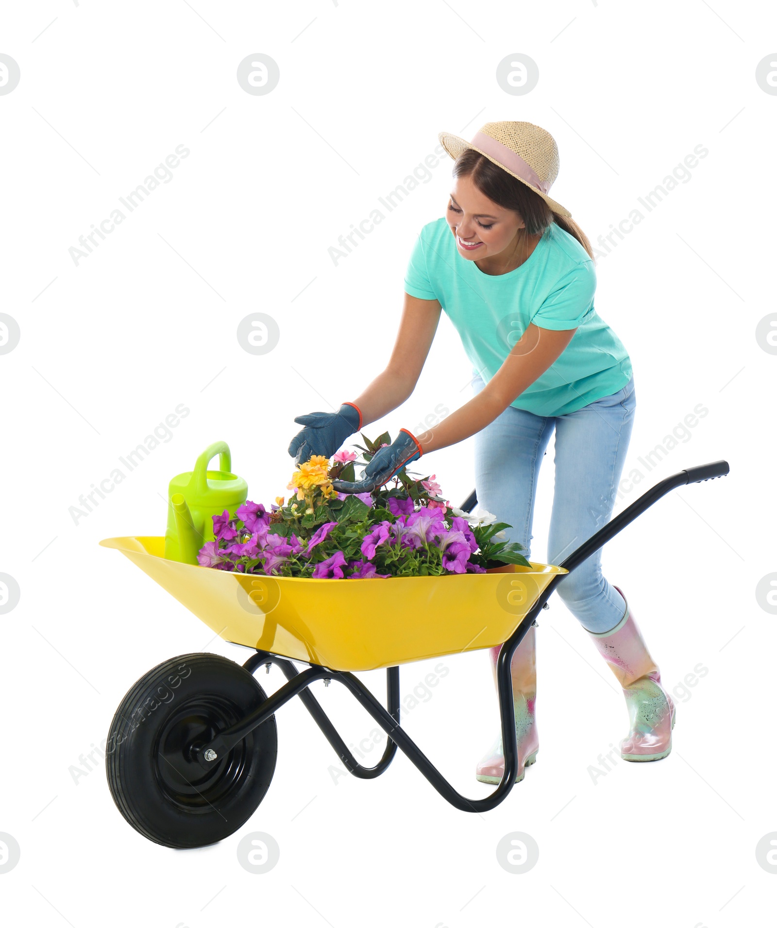 Photo of Female gardener with wheelbarrow and plants on white background