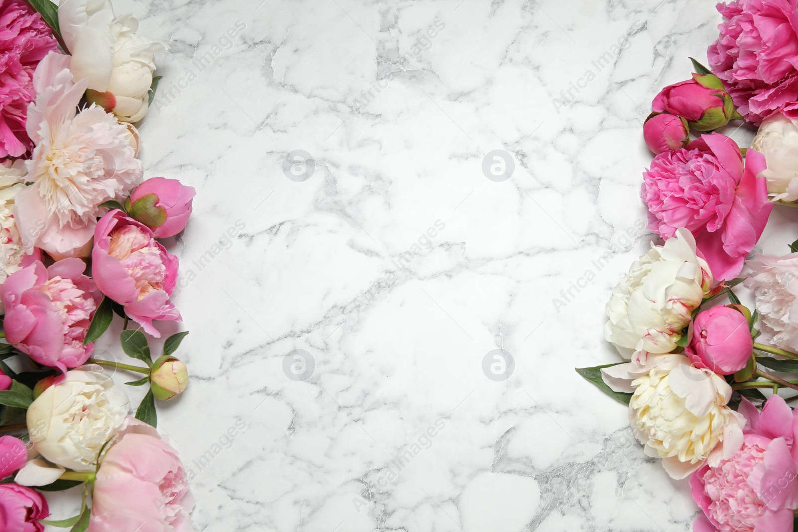 Photo of Beautiful peonies on white marble background, flat lay. Space for text