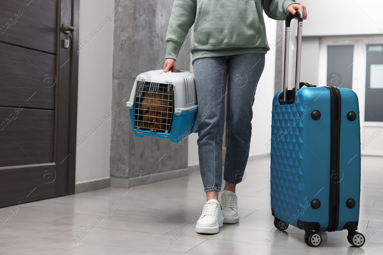 Photo of Travel with pet. Woman with suitcase holding carrier with dog indoors, closeup. Space for text
