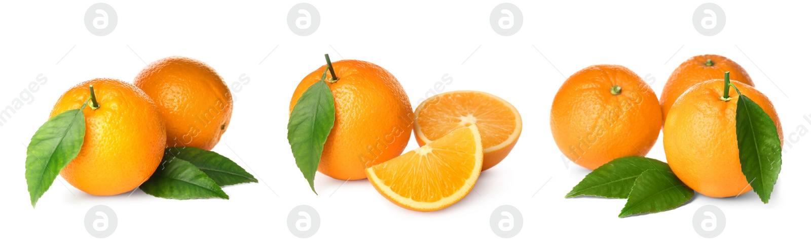 Image of Set with tasty ripe oranges on white background. Banner design 