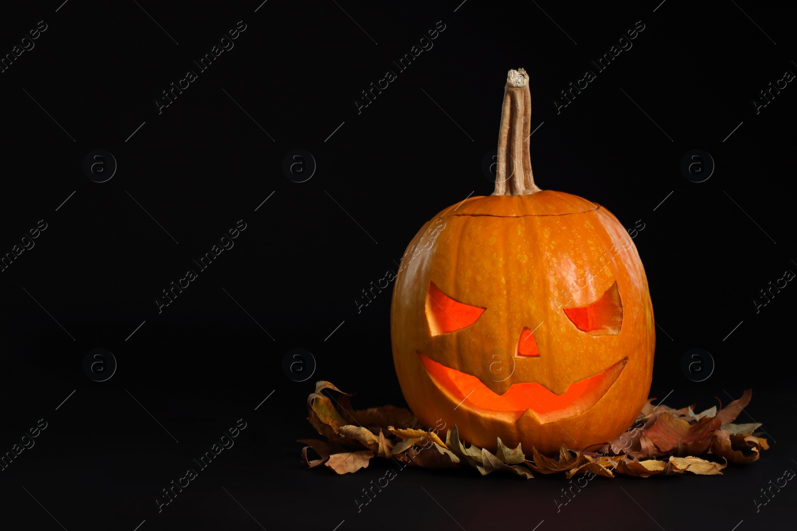 Photo of Pumpkin head with autumn leaves on black background, space for text. Jack lantern - traditional Halloween decor