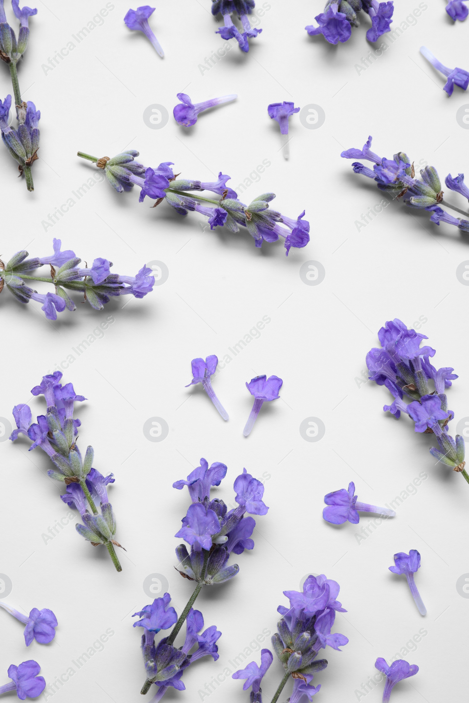 Photo of Beautiful aromatic lavender flowers on white background, flat lay